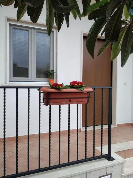 Casa Di Cristina Apartment ฟิวมิชีโน ภายนอก รูปภาพ